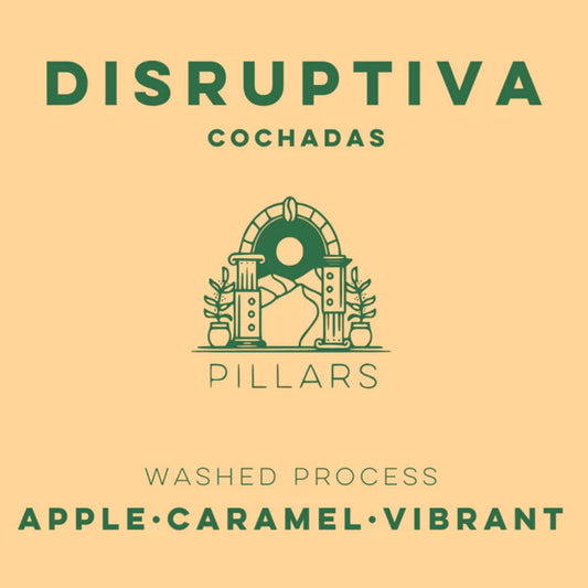 LULO Disruptiva Cochadas - Pillars Series is available at Knyota Non-Alcoholic Drinks.