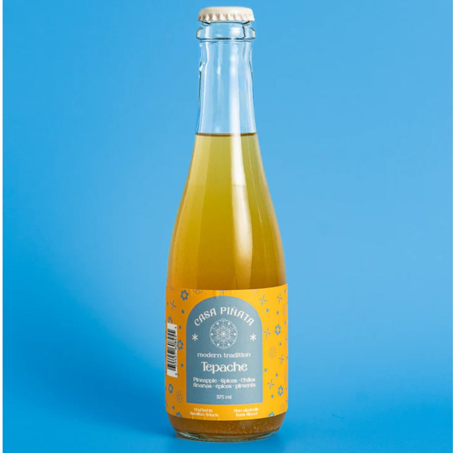 Casa Piñata Tepache (375mL x 1)
