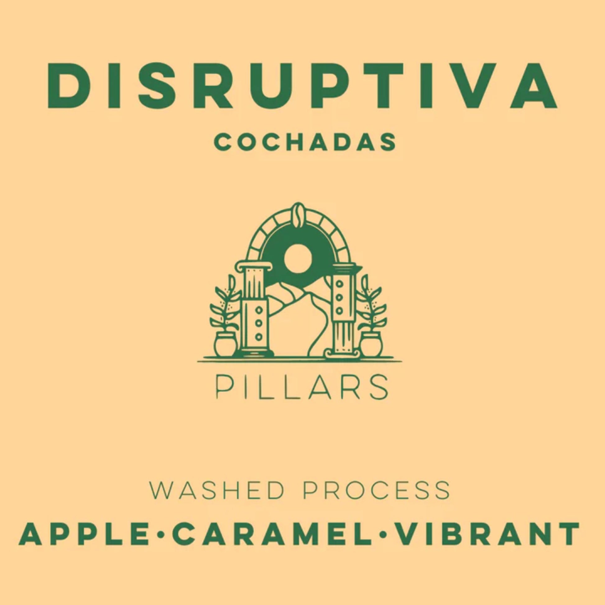 LULO Disruptiva Cochadas - Pillars Series is available at Knyota Non-Alcoholic Drinks.