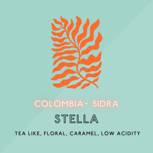 The Artery Community Roasters Stella Sidra Light Roast (SP) is available at Knyota Non-Alcoholic Drinks.